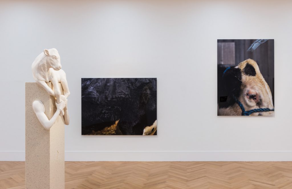 Ausstellungsansicht, Stele mit Kalb auf den Schultern neben einem Stier verteilt auf zwei Bildern